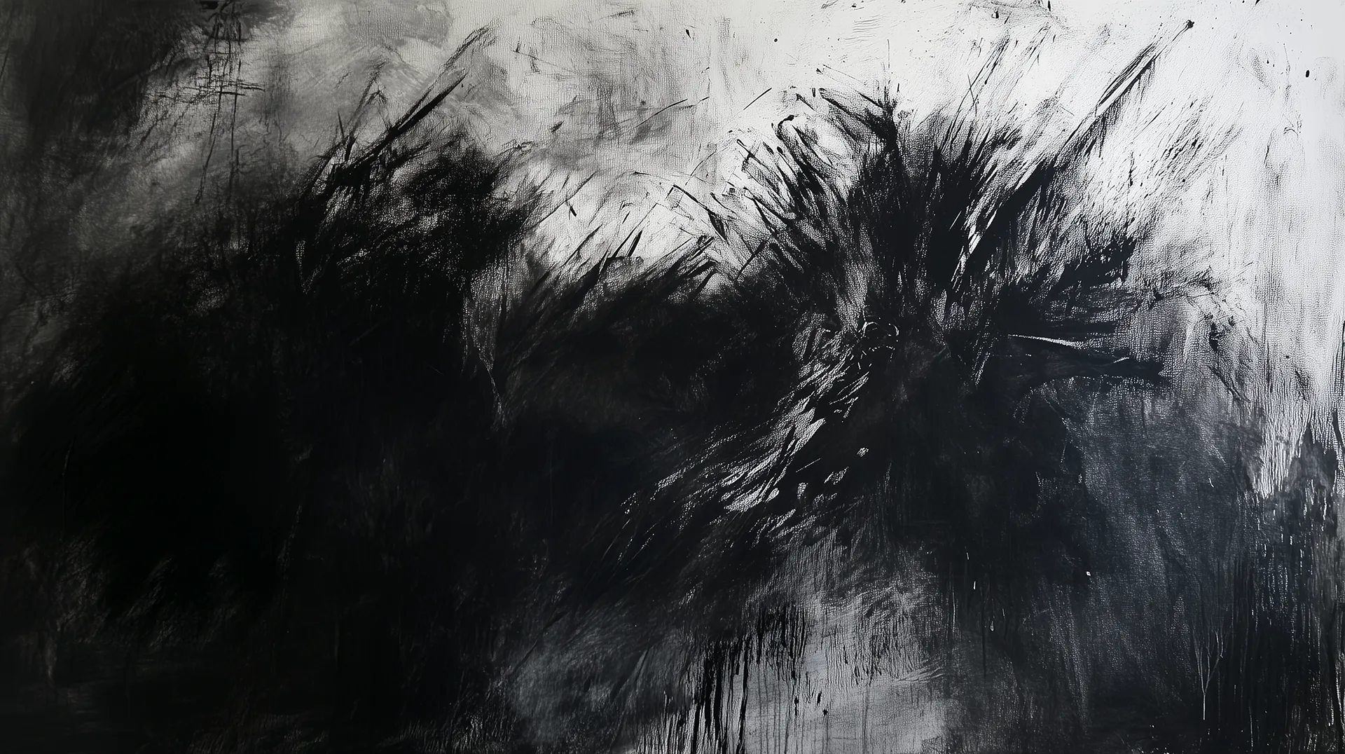 Header graphite Lartigue Originals